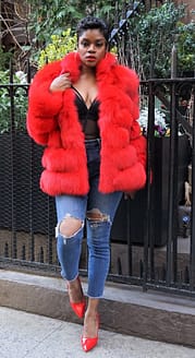 Red Fox Jacket