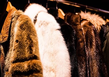 How to Maintain Real Fur Coats?