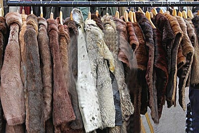 fur coats various animal hangers 42171314