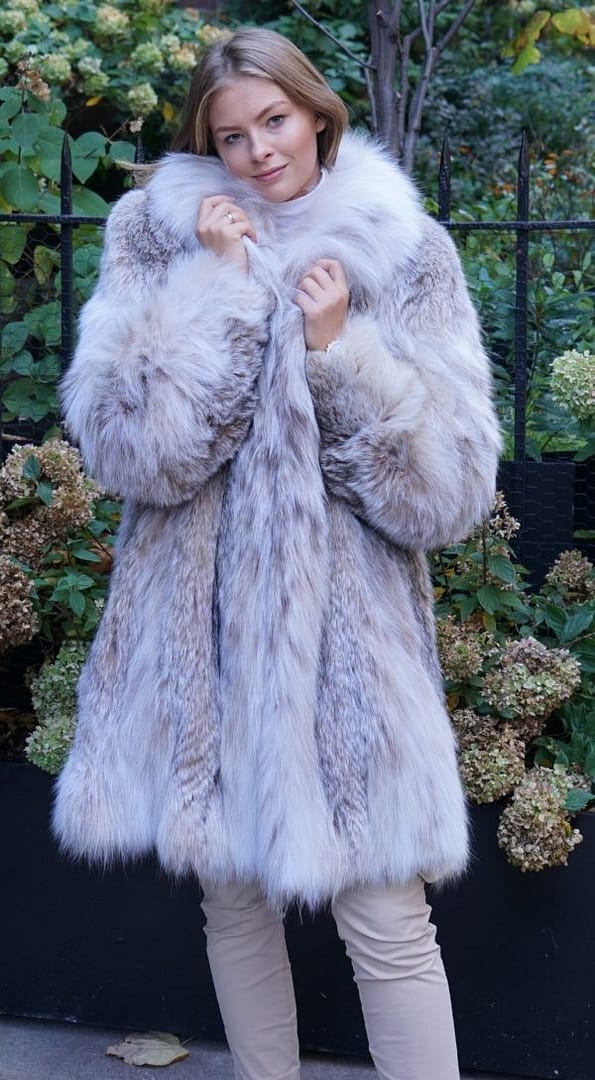 Magnificent Canadian Lynx Coat