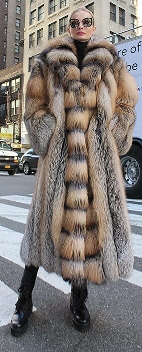 Fox coat best sale